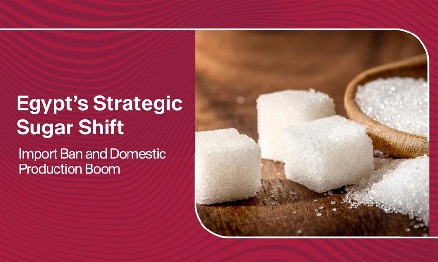 Egypt’s Strategic Sugar Shift: Import Ban and Domestic Production Boom

